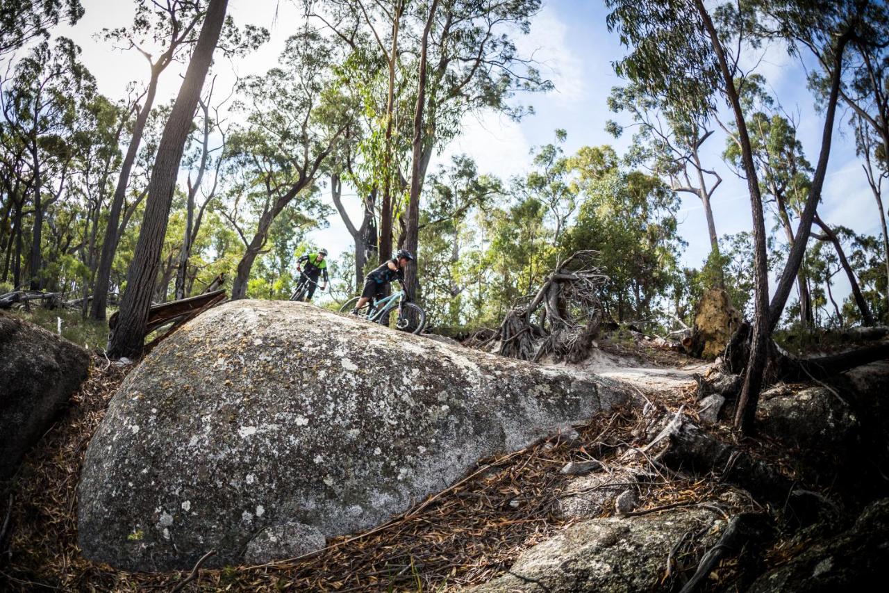 מלון St Helens Mountain Bike Base מראה חיצוני תמונה