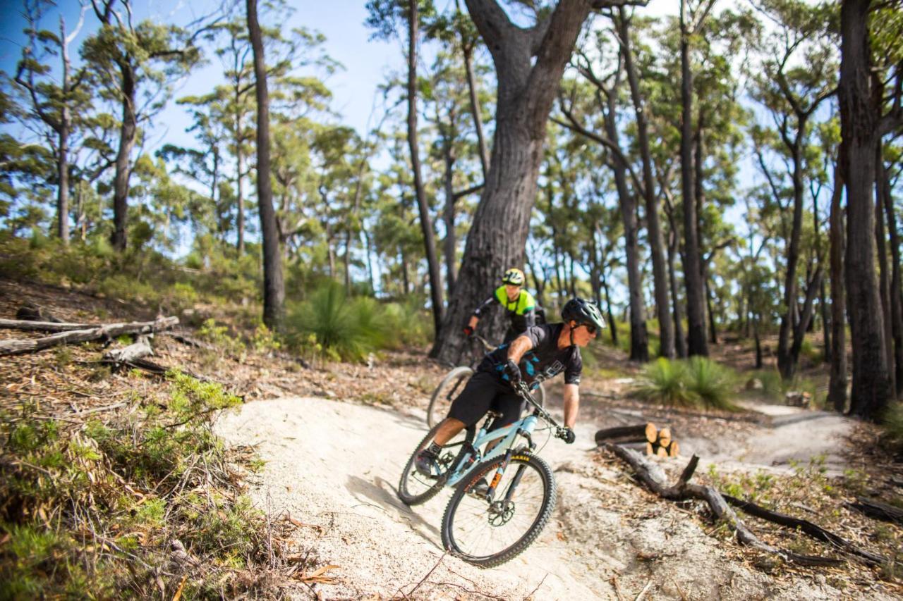 מלון St Helens Mountain Bike Base מראה חיצוני תמונה