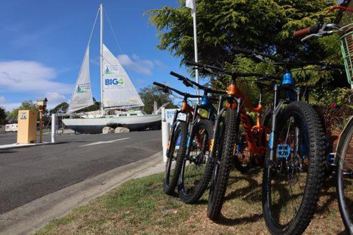 מלון St Helens Mountain Bike Base מראה חיצוני תמונה